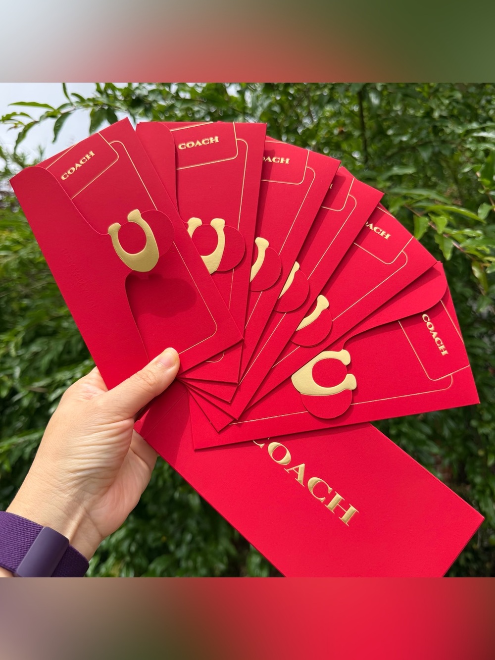 COACH Lunar New Year Red Envelope Set of 6 Hongbao